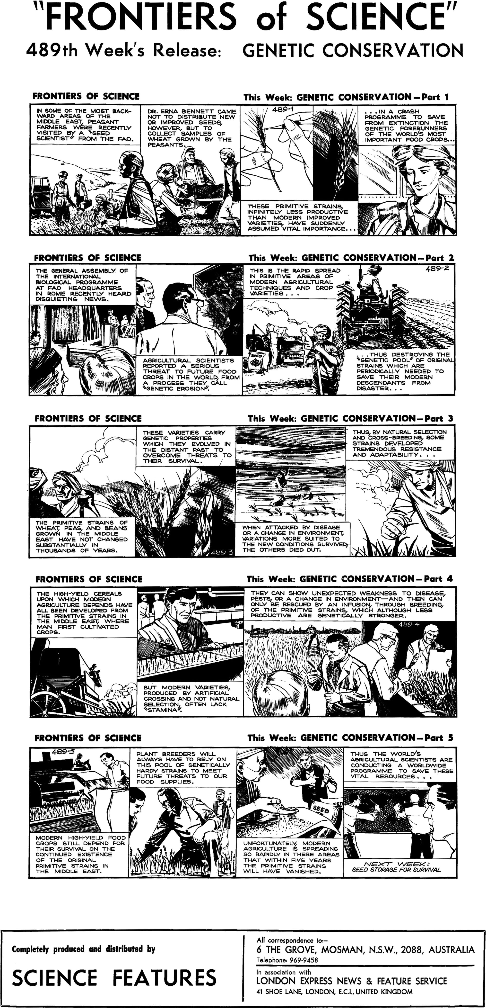 A black and white comic strip from a publication  five-part series from 1971 on ‘Genetic Conservation’, depicted in the University of Sydney project ‘Frontiers of Science'. The comic depicts white scientific researchers visiting "backwards and primitive" communities in the "Middle East" to collect "primitive seed" to boost genetic diversity in Western seed development facilities.  
